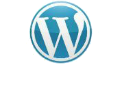 wordpress developer clients