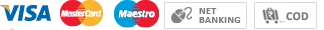 Visa, Mastercard, Maestro, net banking and other payment method symbols