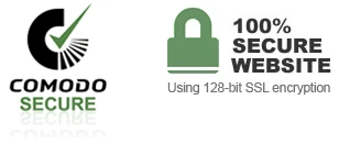 Secure site and encrypted connection illustration